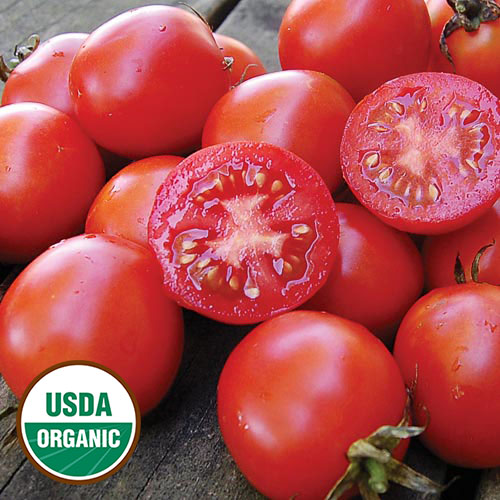 Siberian Tomato Vegetable Seeds AS2558