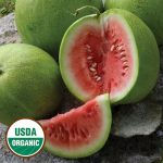 Chelsea Watermelon Vegetable Seeds AS2341