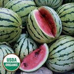 Chris Cross Watermelon Vegetable Seeds AS2342