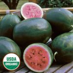 Picnic Watermelon Vegetable Seeds AS2353