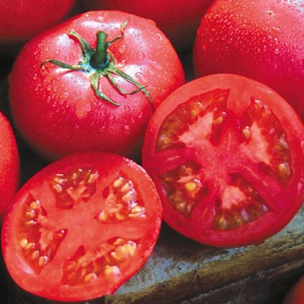 Eva Purple Ball Tomato Vegetable Seeds AS2517