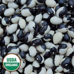 Calypso Bean Vegetable Seeds AS2015