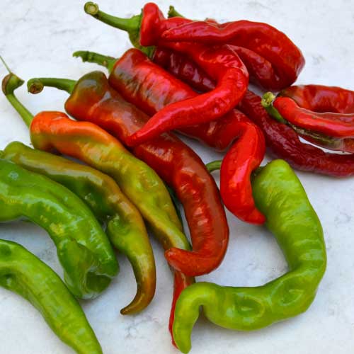Maule's Red Hot Pepper Vegetable Seeds AS2485
