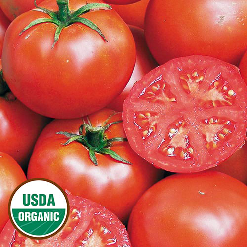 John Baer Tomato Vegetable Seeds AS2531