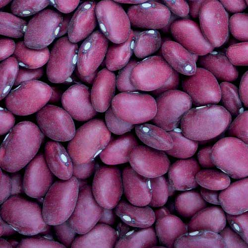 Hidatsa Red Bean Vegetable Seeds AS2023