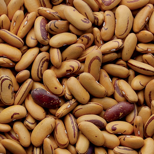 Tiger's Eye Bean Vegetable Seeds AS2454