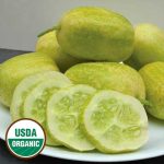 Crystal Apple Cucumber Vegetable Seeds AS2089