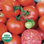 Earliana Tomato Vegetable Seeds AS2337
