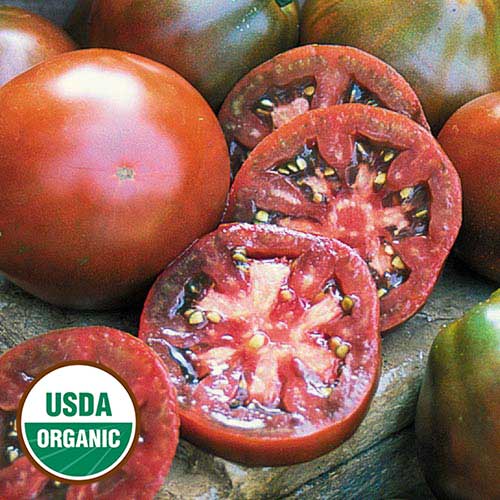 Japanese Trifele Black Tomato Vegetable Seeds AS2529