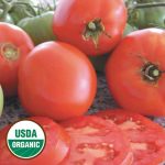 Brandywine Tomato Vegetable Seeds AS2326