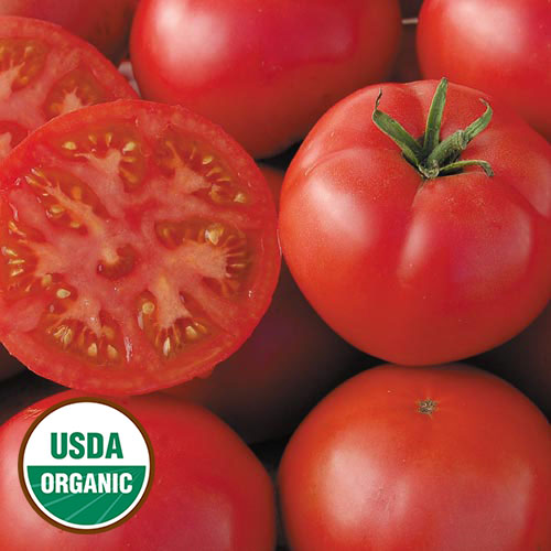 Redfield Beauty Tomato Vegetable Seeds AS2551