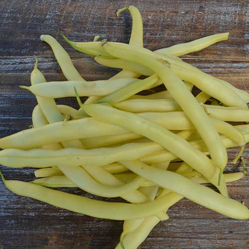 Pencil Pod Golden Wax Bean Vegetable Seeds AS2032