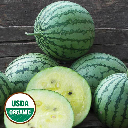 Petite Yellow Watermelon Vegetable Seeds AS2352