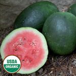 Stone Mountain Watermelon Vegetable Seeds AS2355