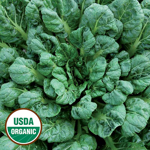 Tatsoi Asian Green Vegetable Seeds AS2009