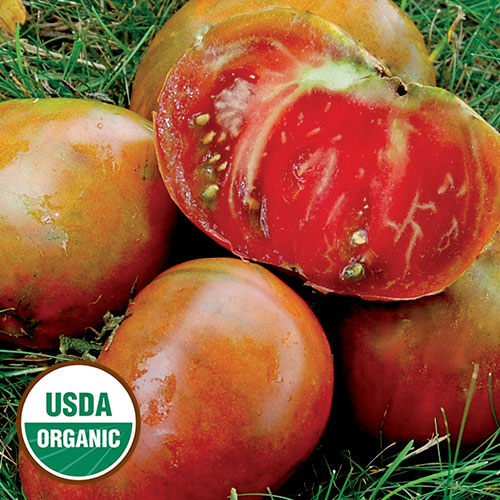 Paul Robeson Tomato Vegetable Seeds AS2547