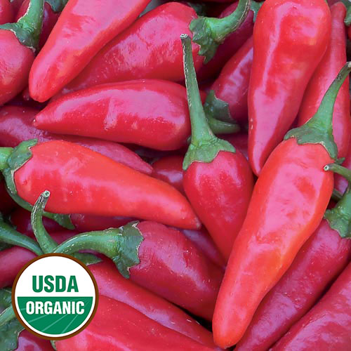 Martin's Carrot Pepper Vegetable Seeds AS2484