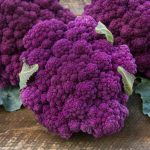 Mulberry Hybrid Cauliflower