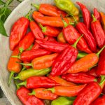 Aji Rico Hybrid Hot Pepper