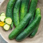 Americana Slicing Hybrid Cucumber Seed