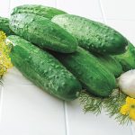 Burpless II Hybrid Cucumber Seed