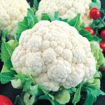 Snowball Cauliflower Seed