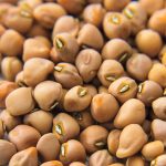 Colossus Crowder Pea