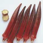 Burgundy Okra Seed