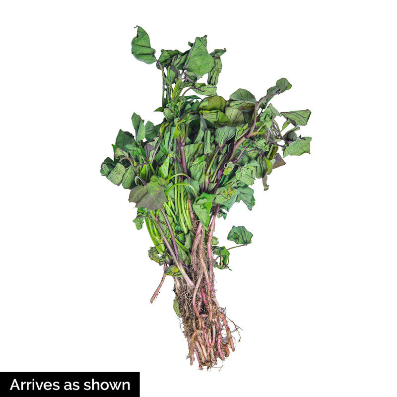 Vardaman Sweet Potato